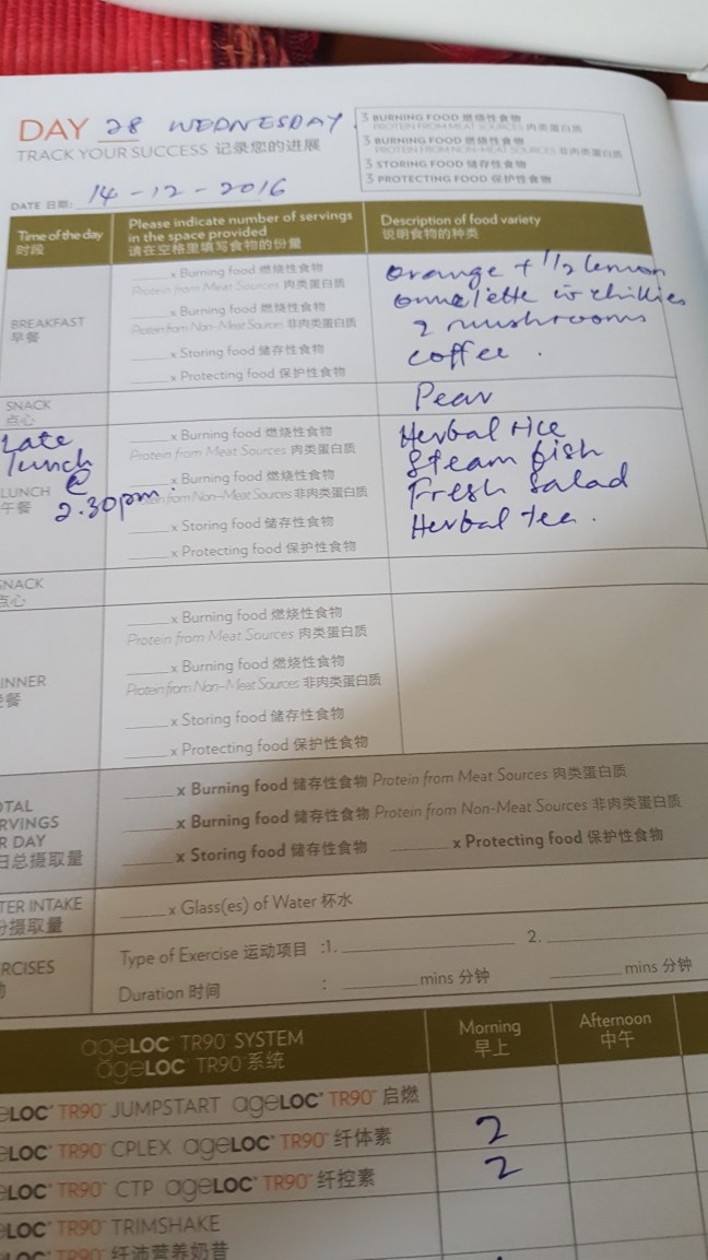 food-diary-page